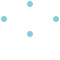 項(xiàng)目策略